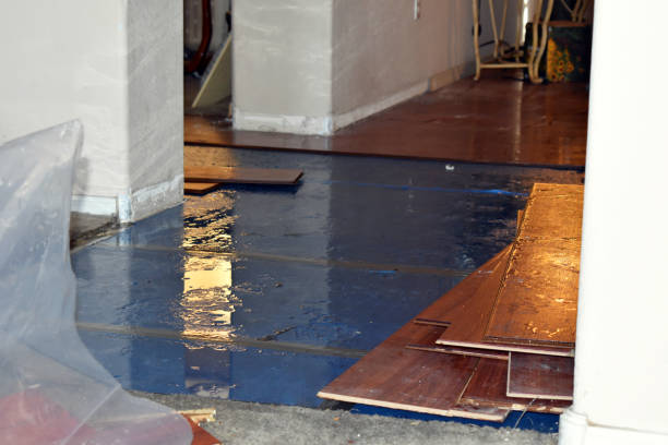 Professional Sewage Cleanup technician working in Napoleon, MO
